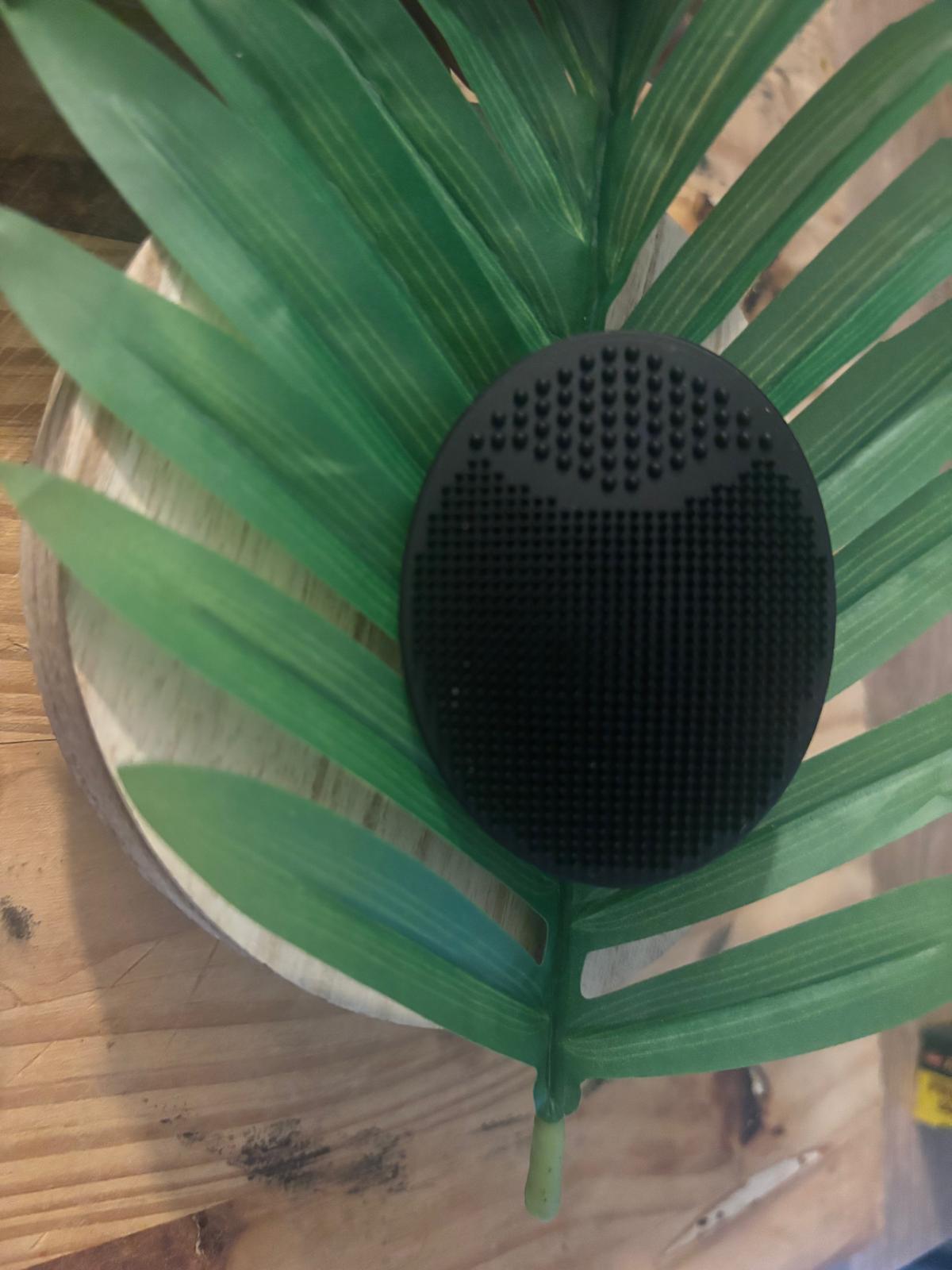 🪮  Brosse réutilisable Visage – La Belle Française
